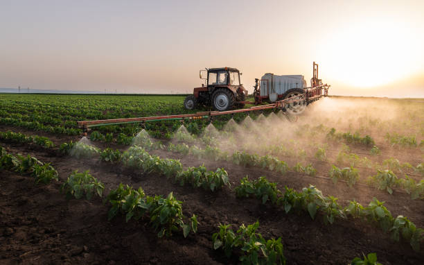 Best Commercial Pest Control Services  in Southmont, NC