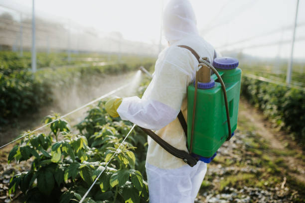 Best Exterminator Services  in Southmont, NC